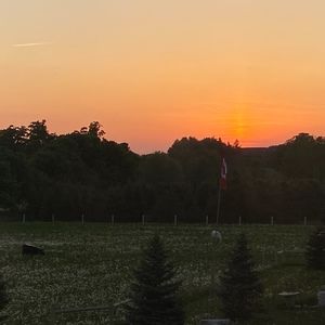 Meet your Posher, Mackenzie